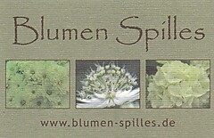 Blumen Spilles | www.blumen-spilles.de